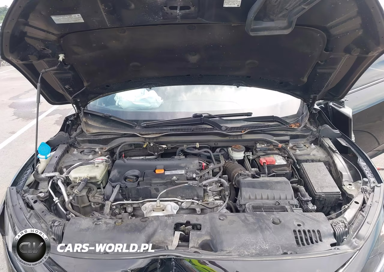 2019 Honda Civic Sport VIN:2HGFC2F88KH534924 - 10