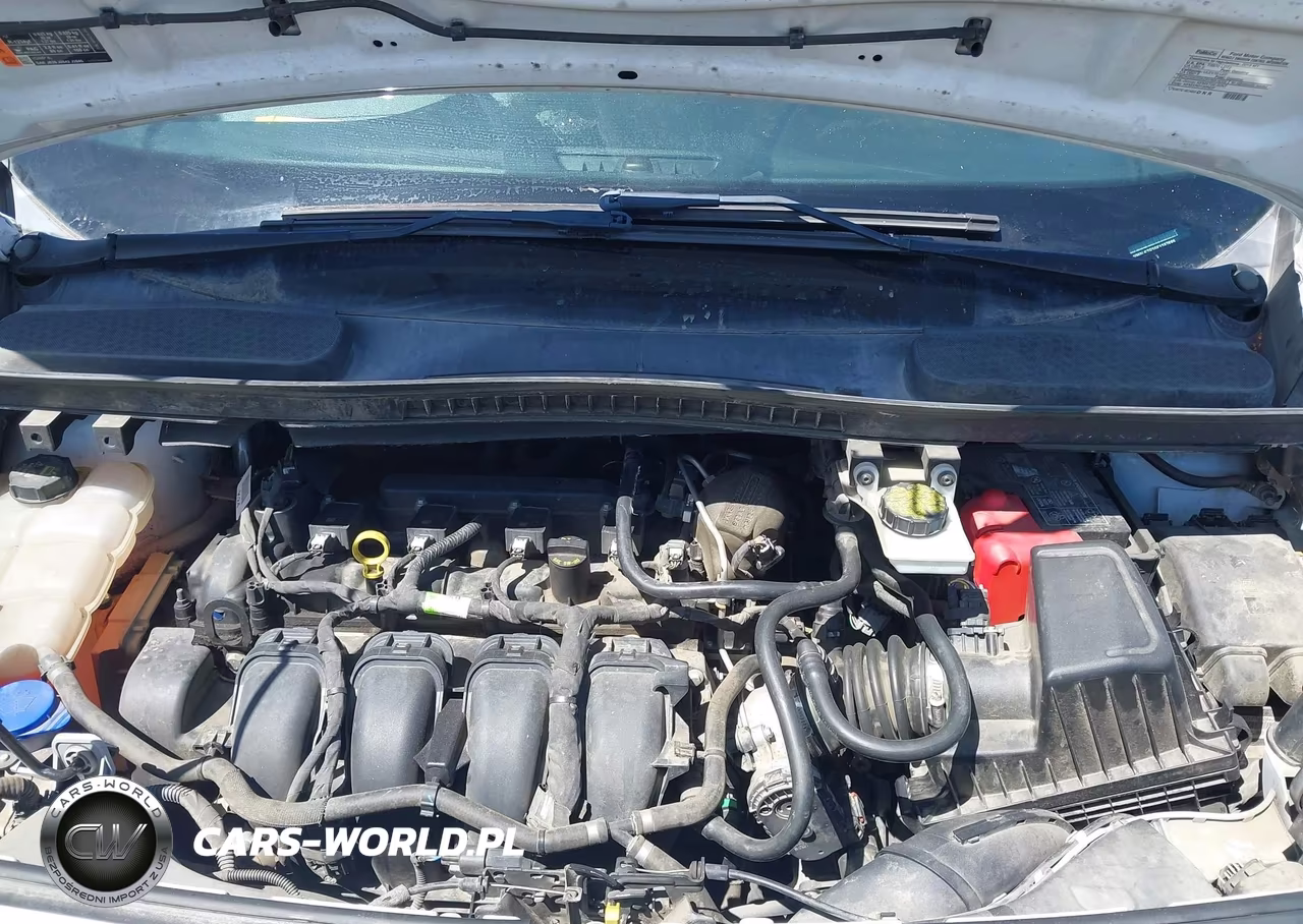 2019 Ford Transit Connect Xl VIN:NM0LS7E20K1387699 - 10