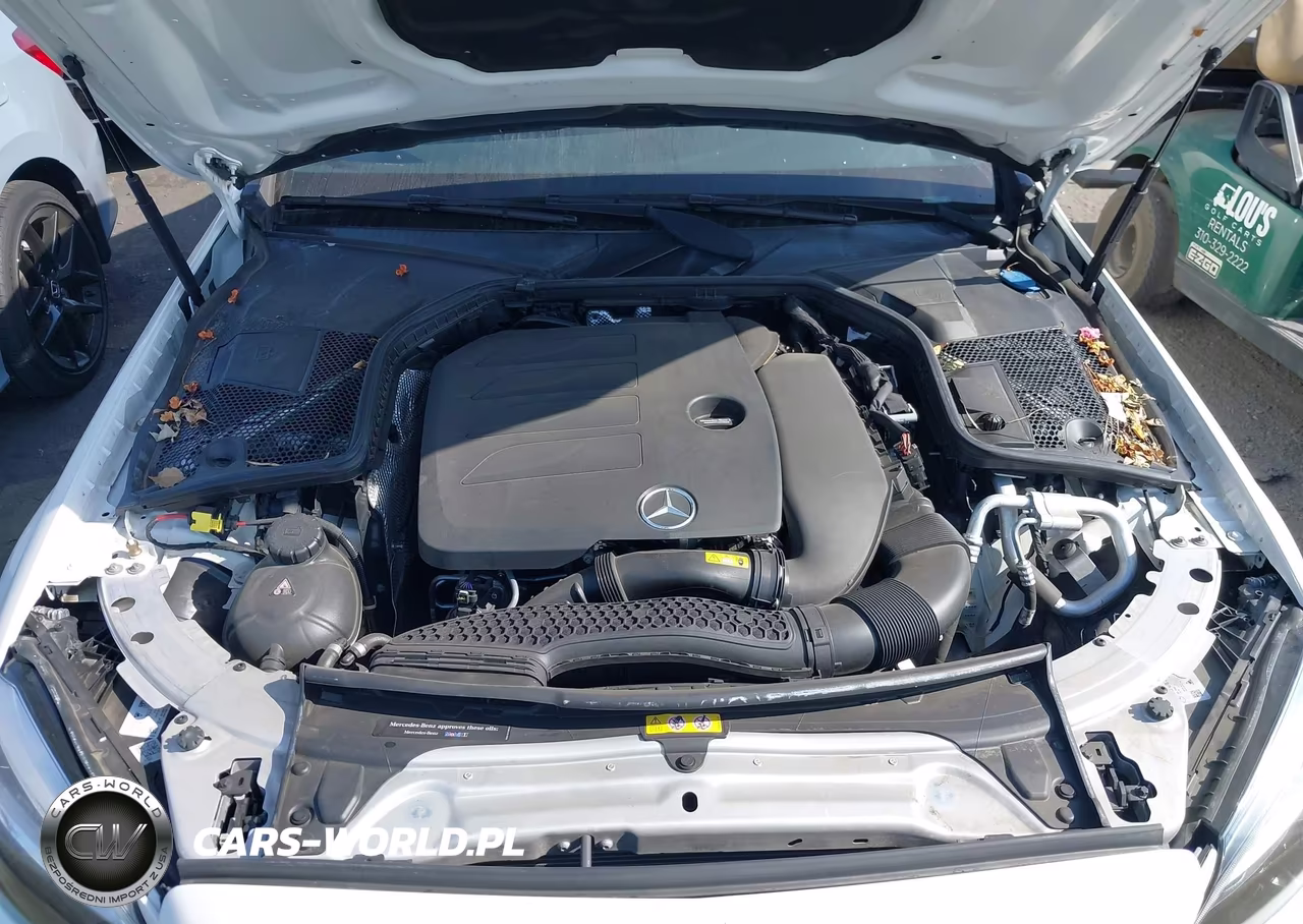 2019 Mercedes-Benz C 300 VIN:55SWF8DB4KU296968 - 10