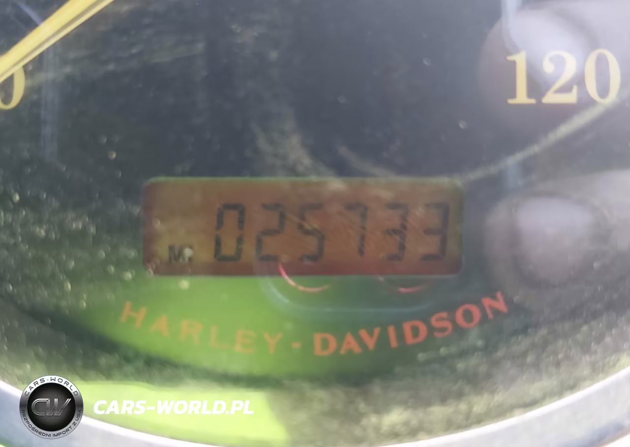 2007 Harley-Davidson Fxst VIN:1HD1BV5147Y053419 - 7