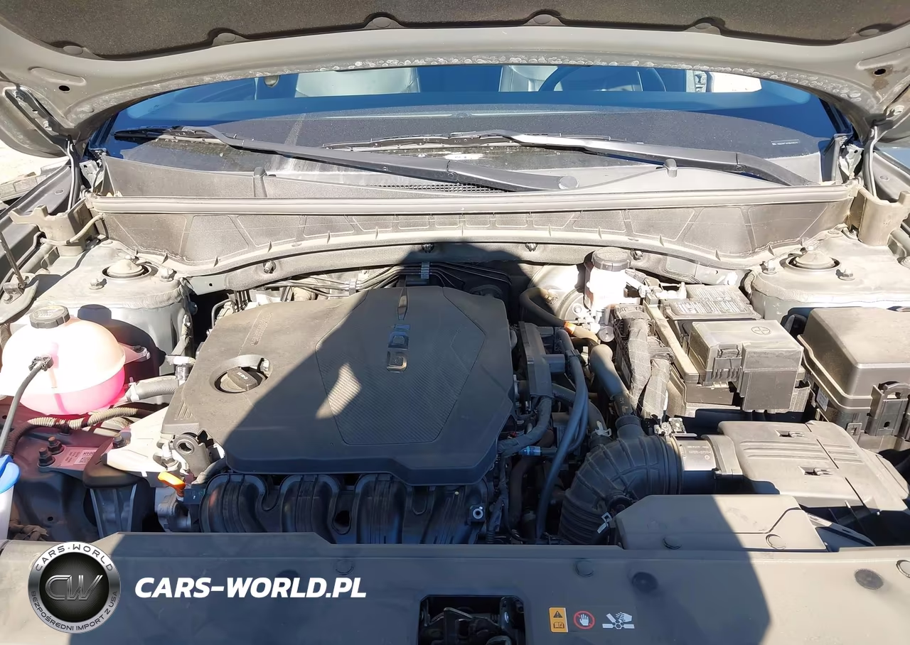 2023 Hyundai Tucson Limited VIN:5NMJECAE3PH245676 - 10