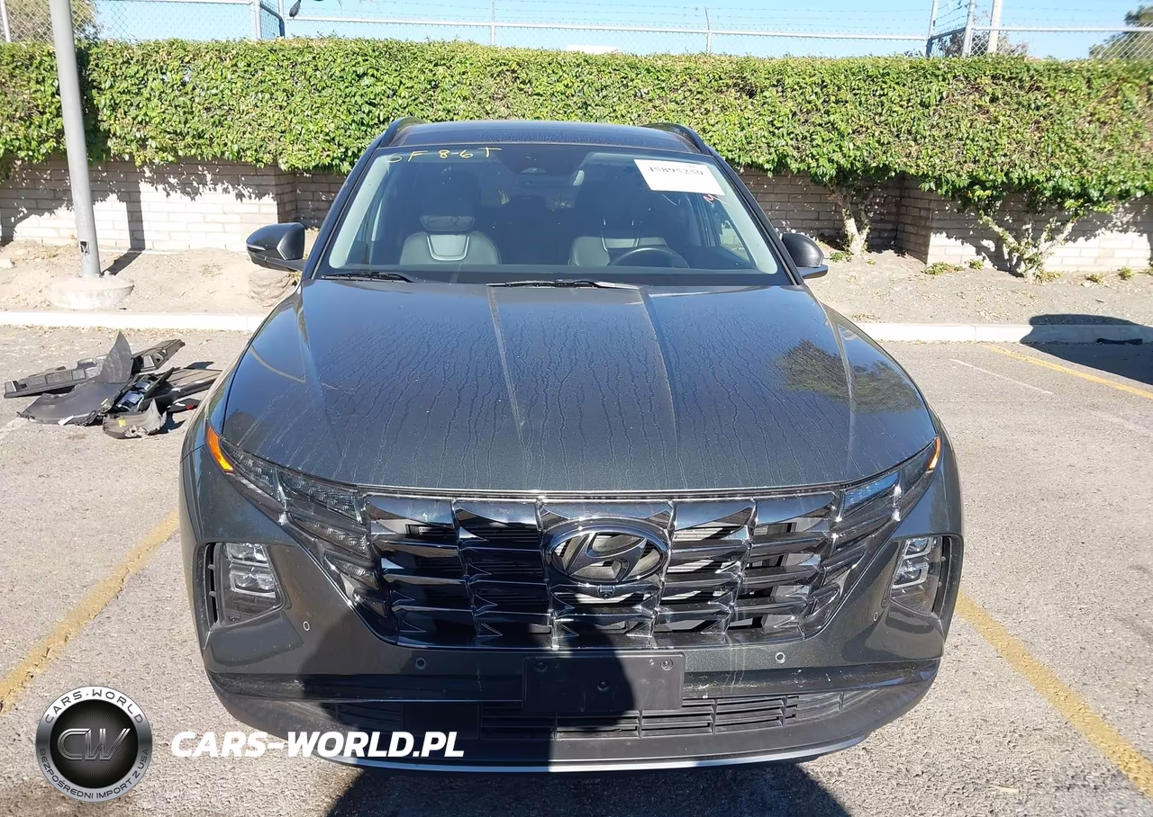2023 Hyundai Tucson Limited VIN:5NMJECAE3PH245676 - 12