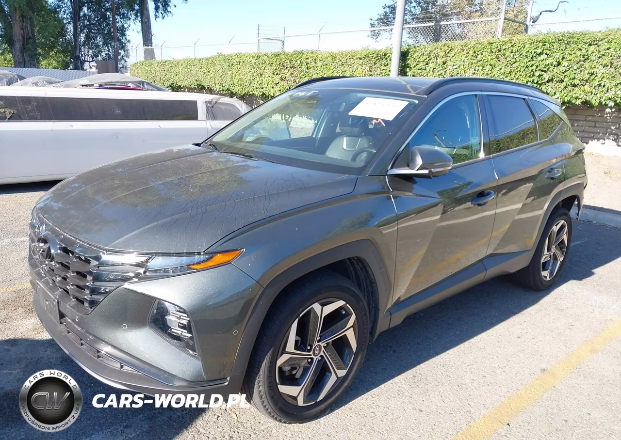 2023 Hyundai Tucson Limited VIN:5NMJECAE3PH245676 - 2