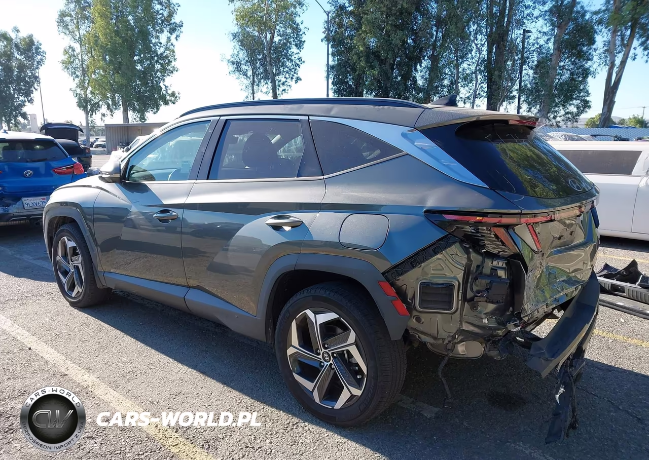 2023 Hyundai Tucson Limited VIN:5NMJECAE3PH245676 - 3