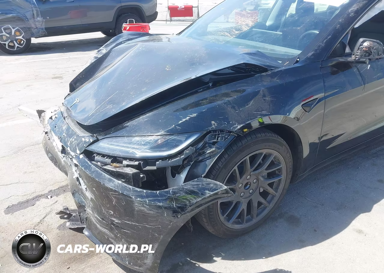 2025 Tesla Model 3 Long Range Rear-Wheel Drive-Standard Rear-Wheel Drive VIN:5YJ3E1EA2SF913269 - 16