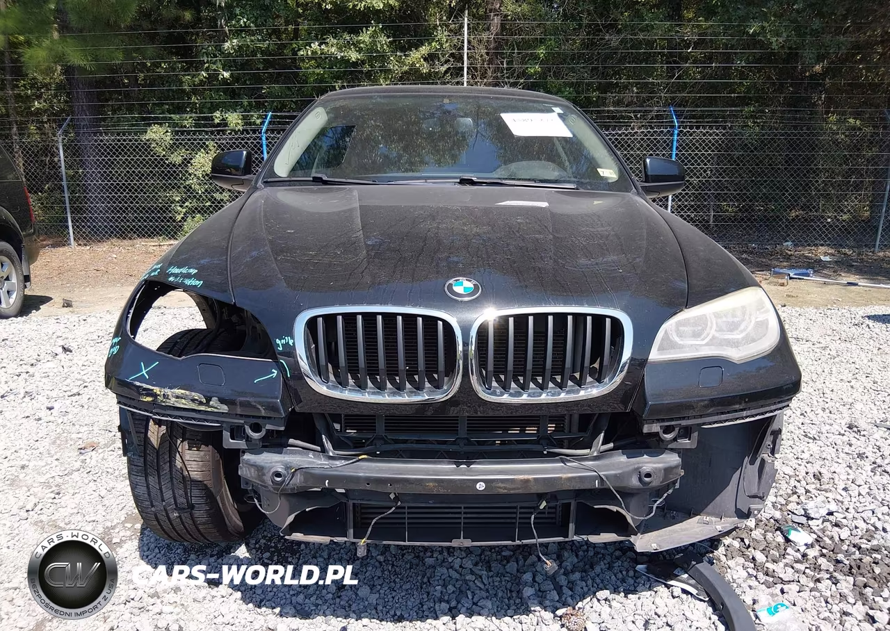 2013 BMW X6 xDrive35I VIN:5UXFG2C52DL785679 - 13