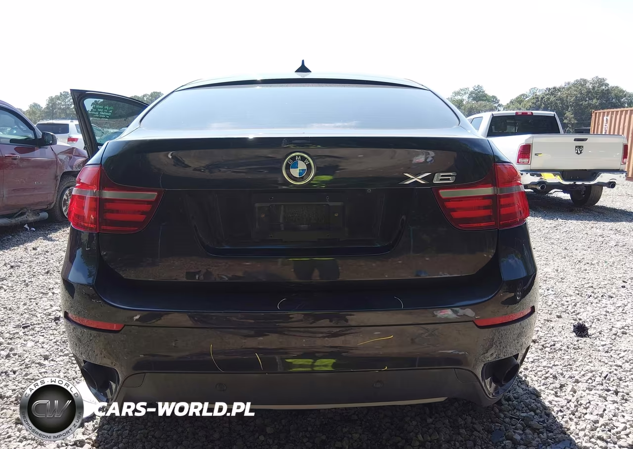 2013 BMW X6 xDrive35I VIN:5UXFG2C52DL785679 - 17