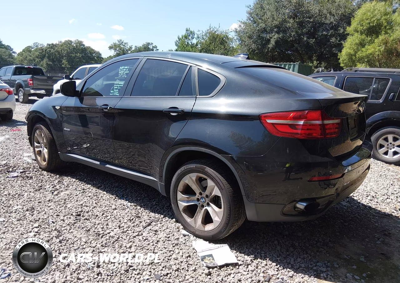 2013 BMW X6 xDrive35I VIN:5UXFG2C52DL785679 - 3