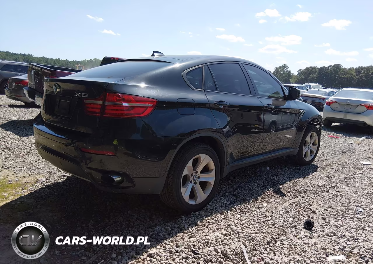 2013 BMW X6 xDrive35I VIN:5UXFG2C52DL785679 - 4