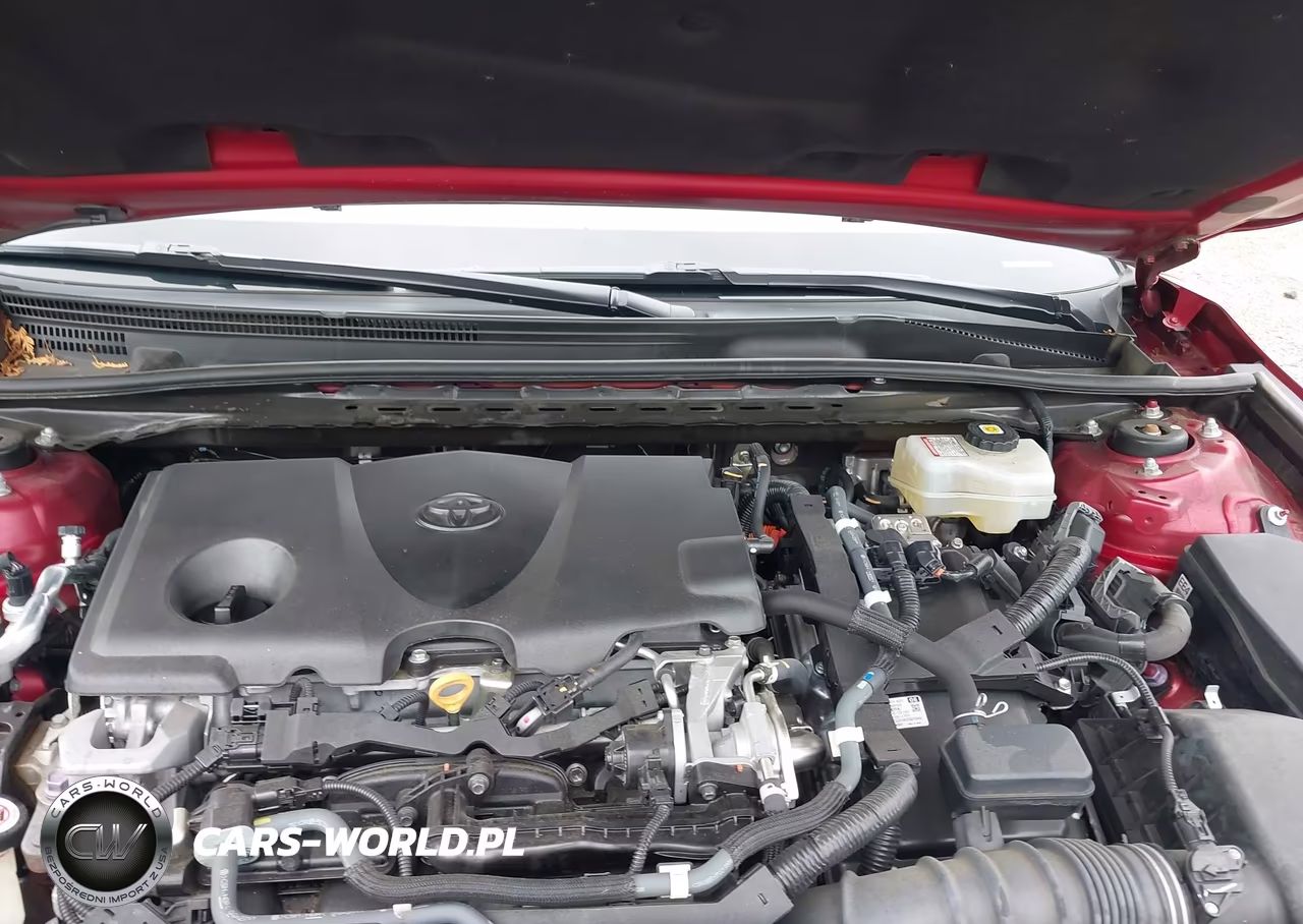 2020 Toyota Camry Hybrid Xle VIN:4T1F31AK8LU017242 - 10