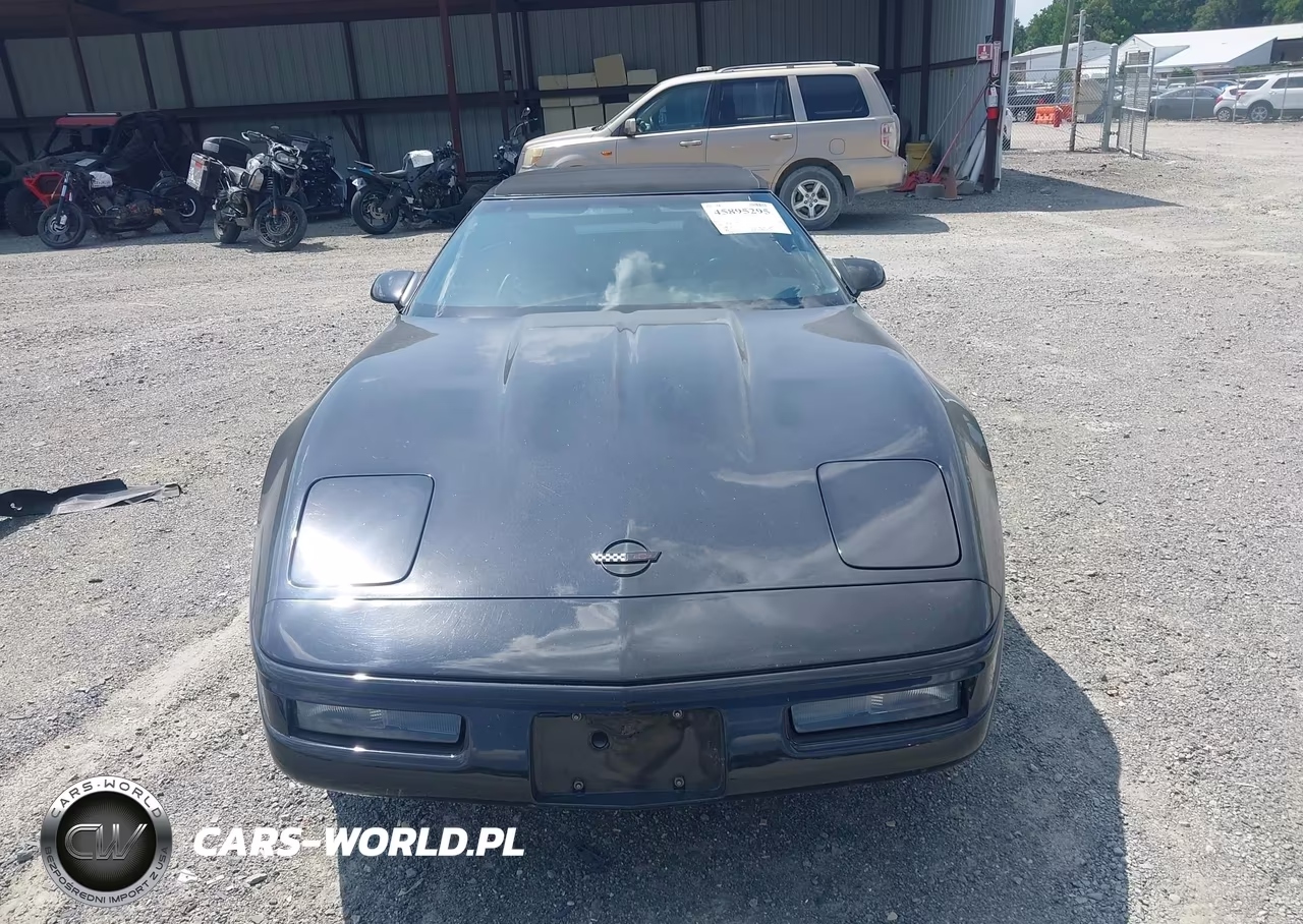 1993 Chevrolet Corvette VIN:1G1YY33PXP5112610 - 12