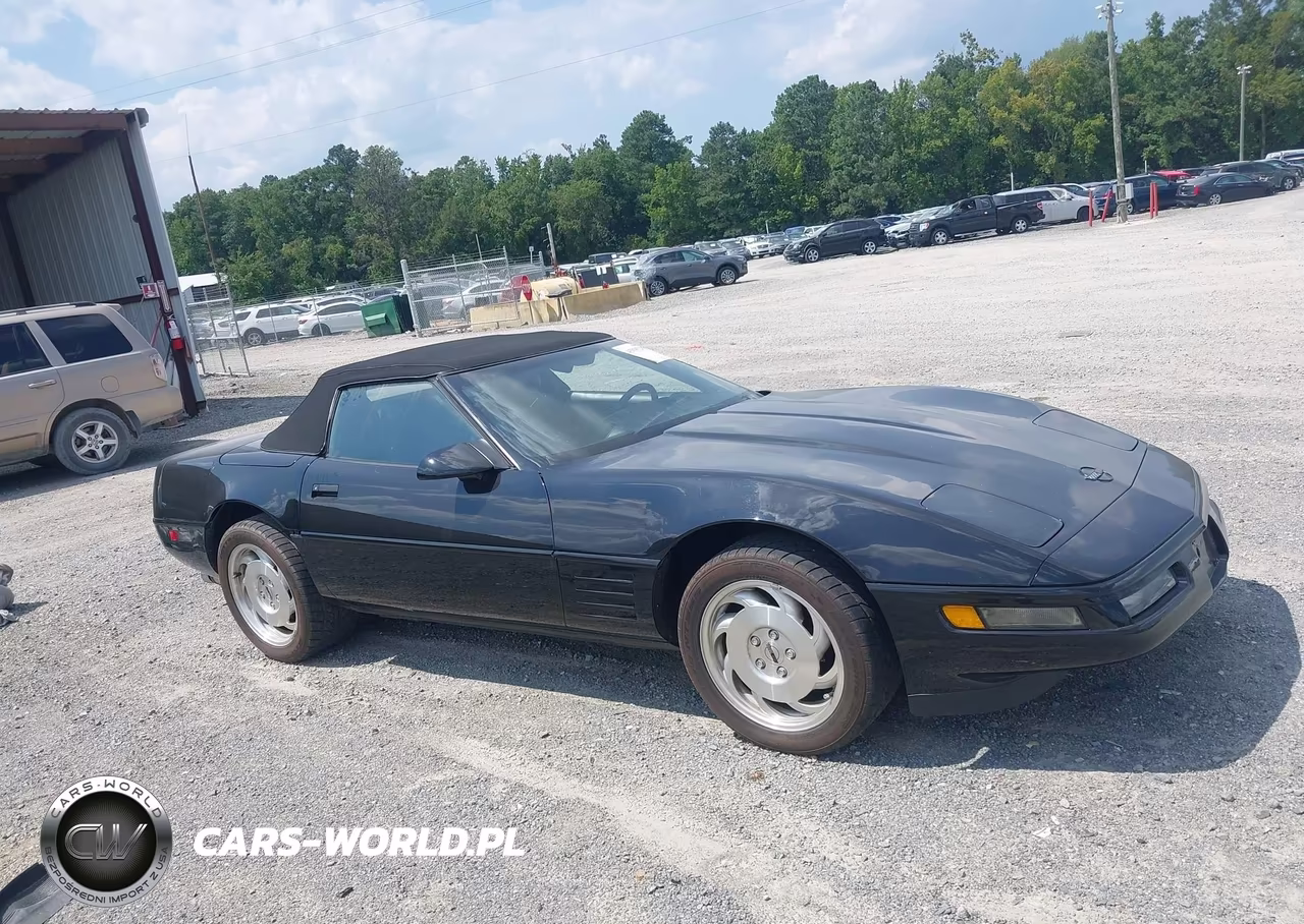 1993 Chevrolet Corvette VIN:1G1YY33PXP5112610 - 13