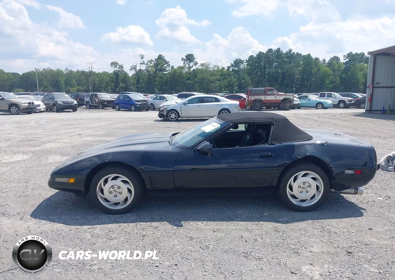 1993 Chevrolet Corvette VIN:1G1YY33PXP5112610 - 14