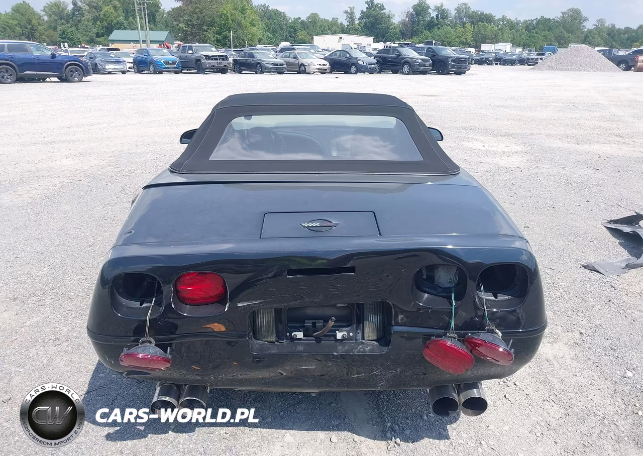 1993 Chevrolet Corvette VIN:1G1YY33PXP5112610 - 16