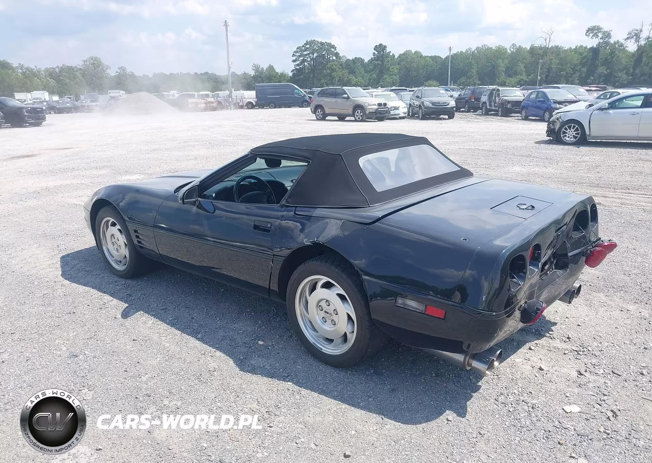 1993 Chevrolet Corvette VIN:1G1YY33PXP5112610 - 3