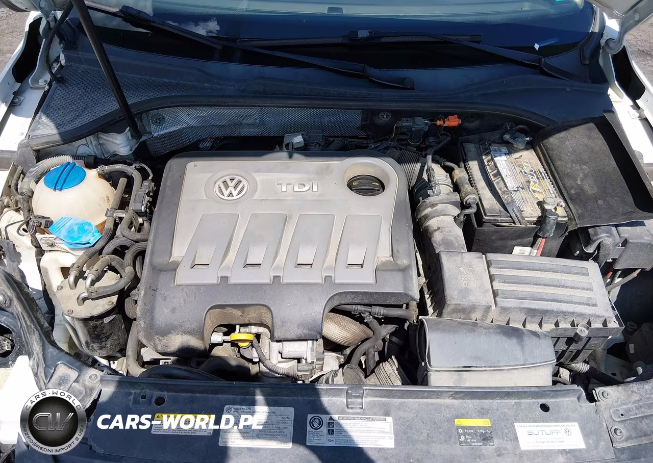 2014 Volkswagen Passat 2.0L Tdi Se VIN:1VWBN7A39EC115310 - 10
