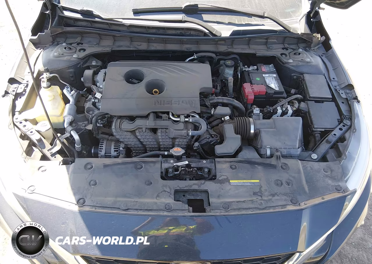 2019 Nissan Altima 2.5 Sl VIN:1N4BL4EV7KC117691 - 10