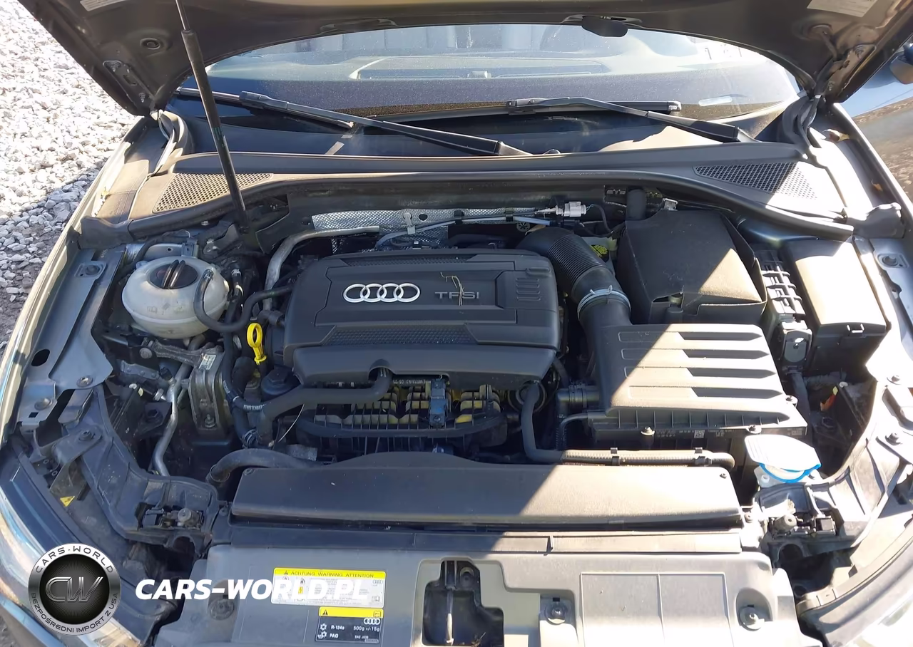 2016 Audi A3 2.0T Premium VIN:WAUE8GFF6G1017504 - 10
