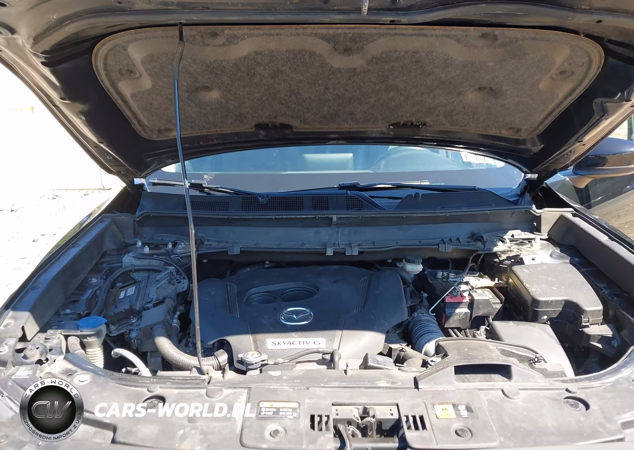 2020 Mazda Cx-9 Touring VIN:JM3TCBCY3L0421465 - 10