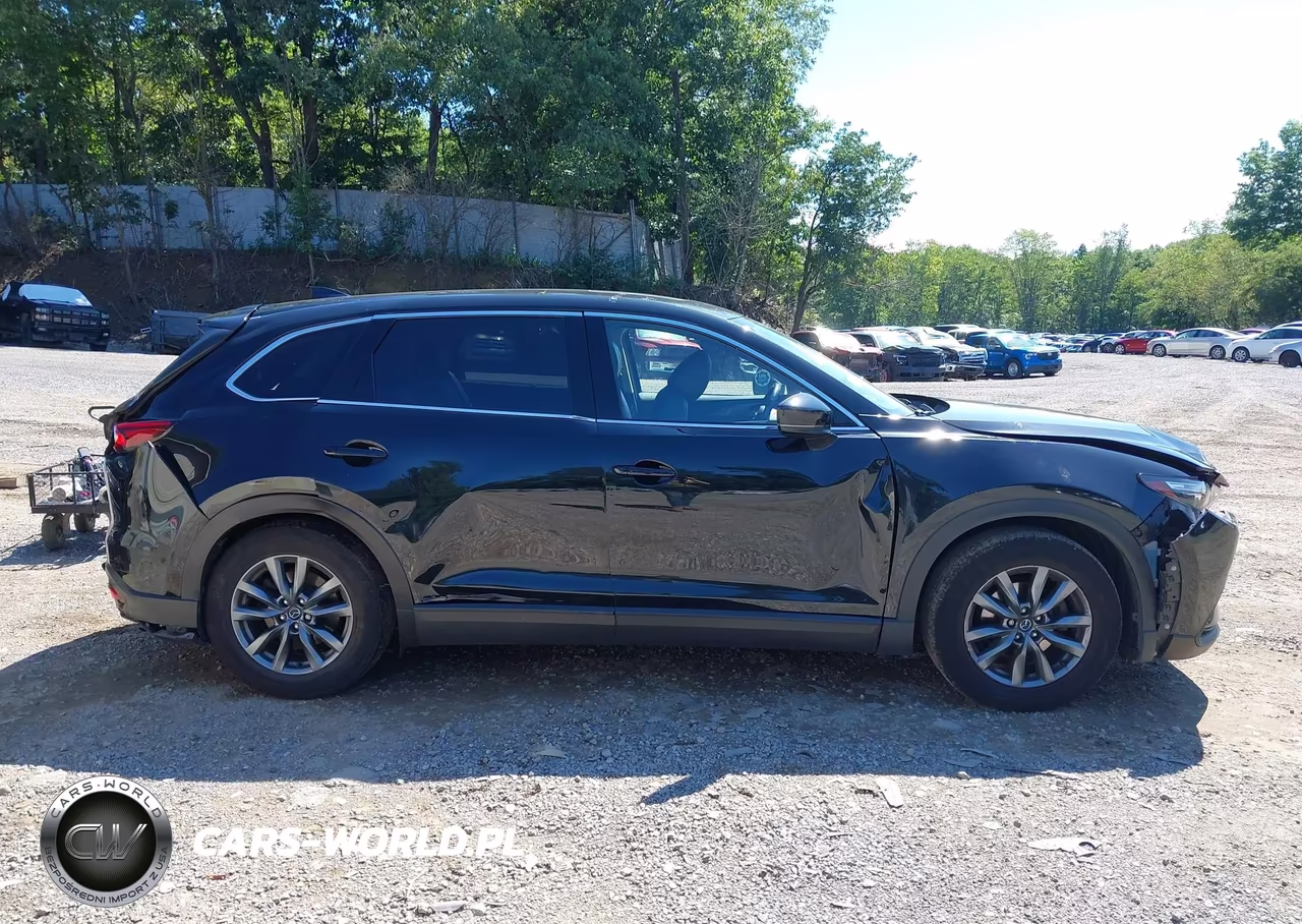 2020 Mazda Cx-9 Touring VIN:JM3TCBCY3L0421465 - 13