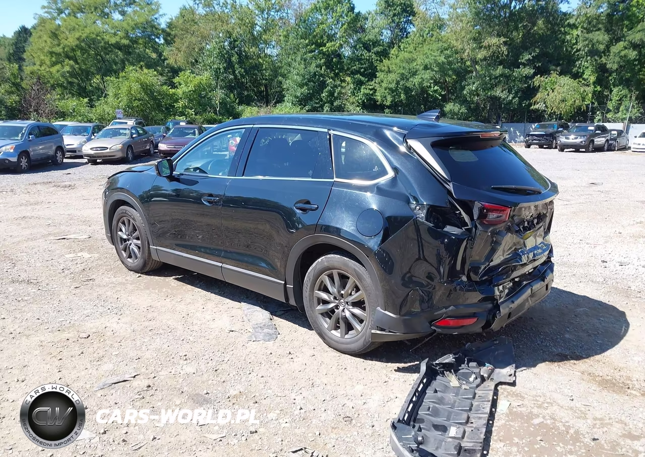 2020 Mazda Cx-9 Touring VIN:JM3TCBCY3L0421465 - 3
