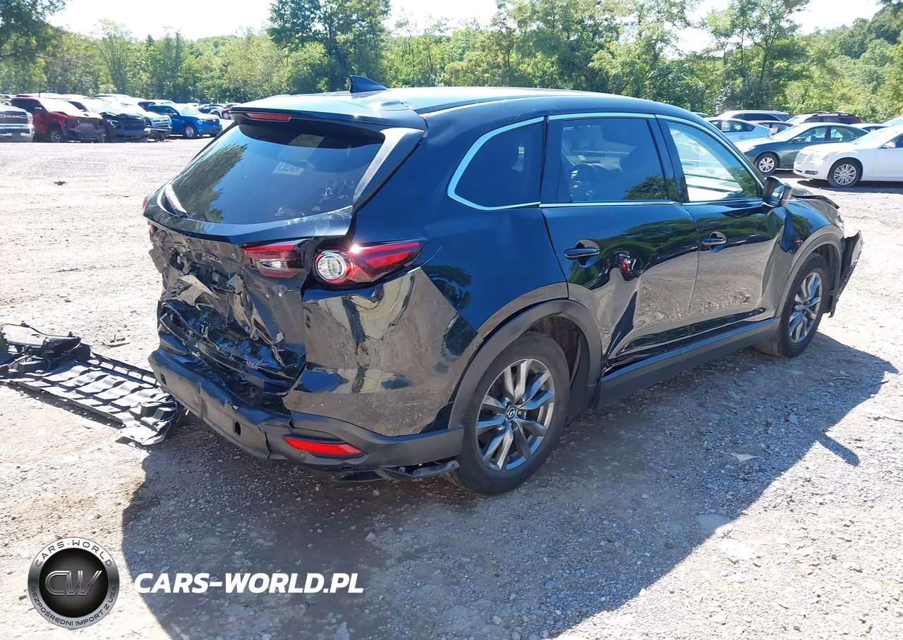 2020 Mazda Cx-9 Touring VIN:JM3TCBCY3L0421465 - 4