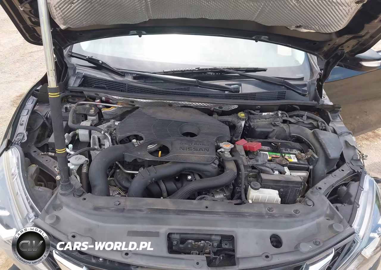 2017 Nissan Sentra Sr Turbo VIN:3N1CB7AP7HY246964 - 10
