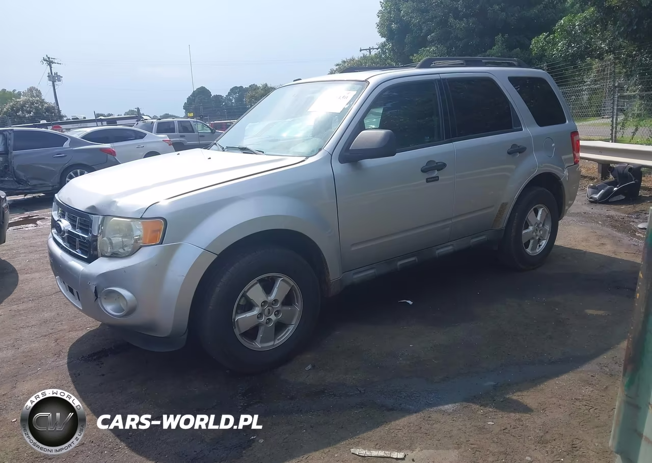 2011 Ford Escape Xlt VIN:1FMCU0D77BKC48774 - 2