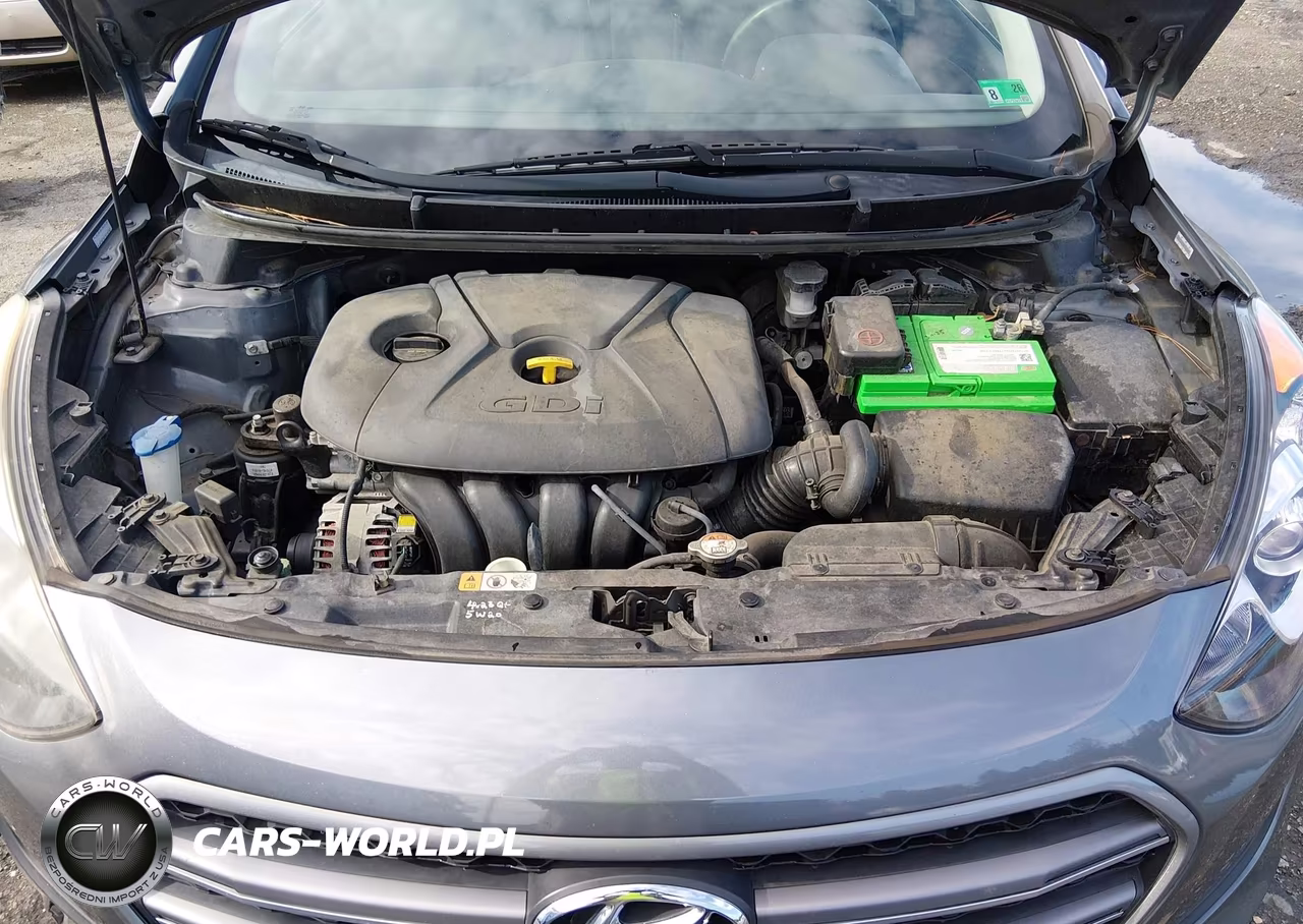2016 Hyundai Elantra Gt VIN:KMHD35LH2GU321348 - 10