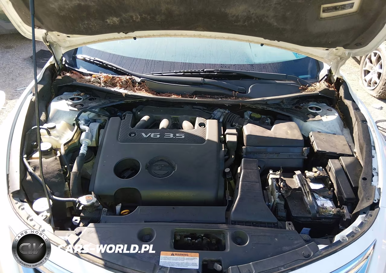 2013 Nissan Altima 3.5 Sv VIN:1N4BL3AP2DN452012 - 10