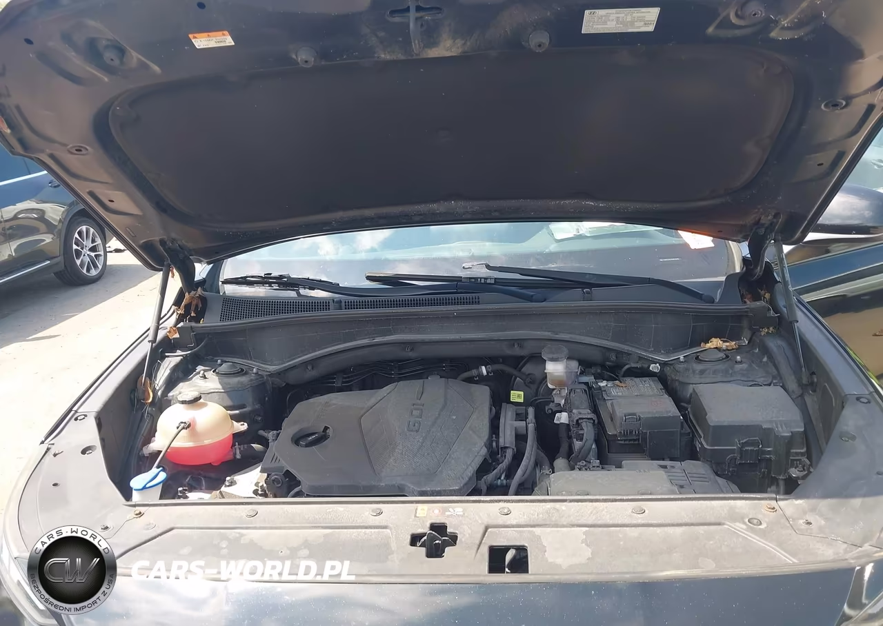 2021 Hyundai Santa Fe Se VIN:5NMS1DAJ9MH316295 - 10