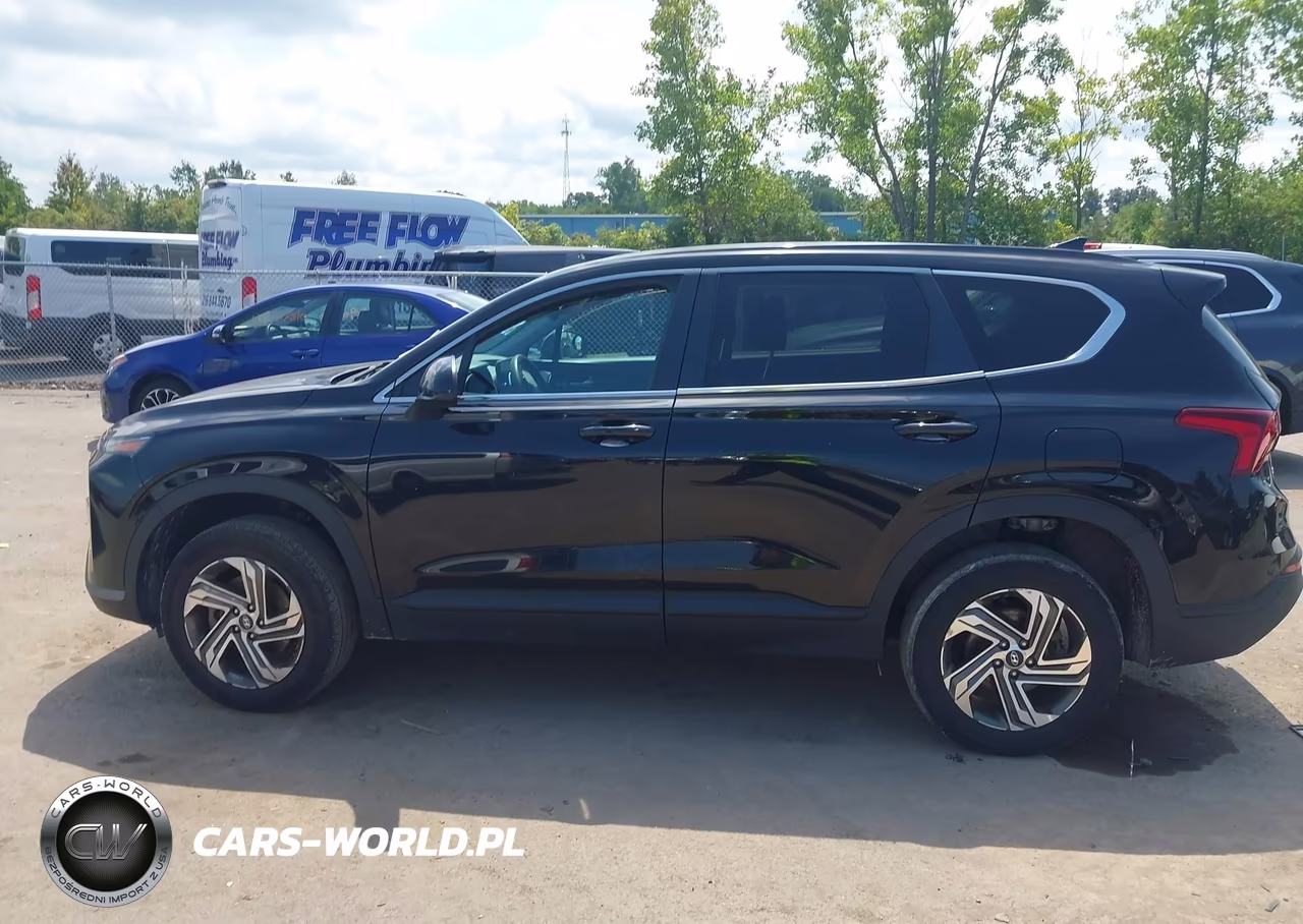 2021 Hyundai Santa Fe Se VIN:5NMS1DAJ9MH316295 - 15