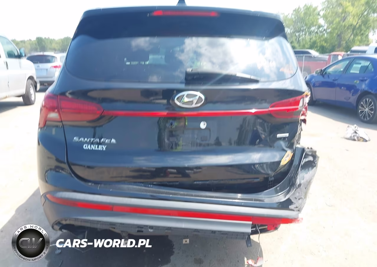2021 Hyundai Santa Fe Se VIN:5NMS1DAJ9MH316295 - 17
