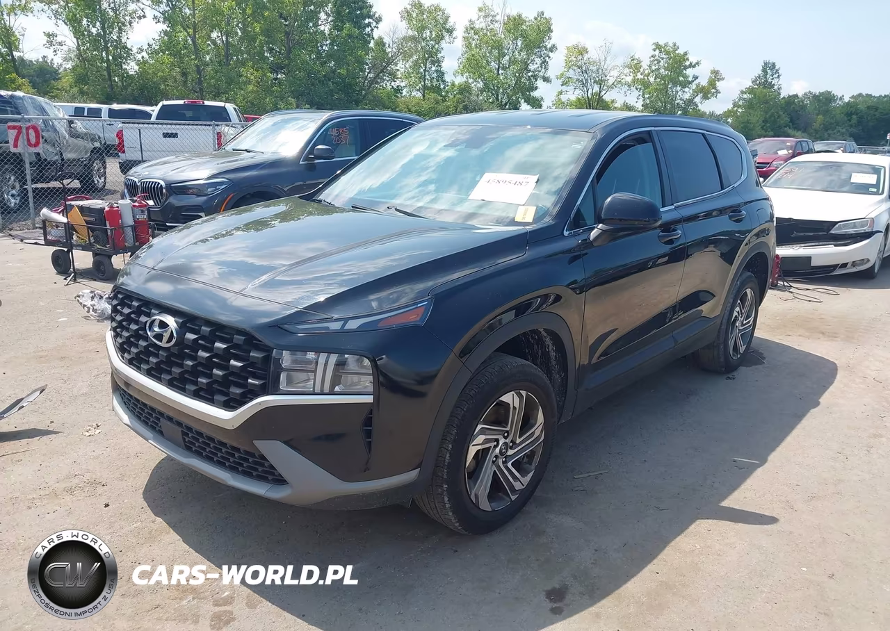 2021 Hyundai Santa Fe Se VIN:5NMS1DAJ9MH316295 - 2