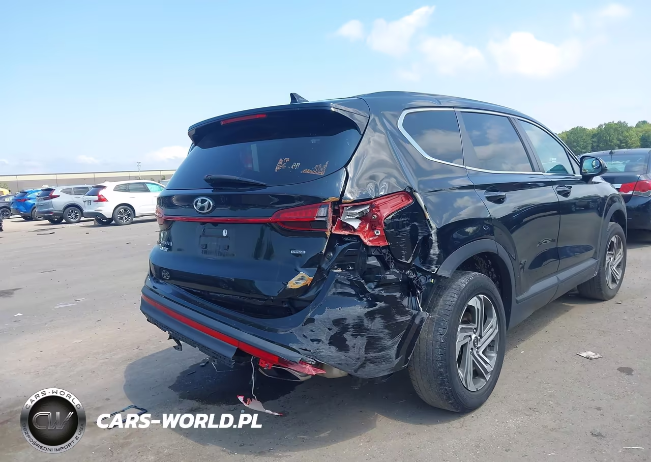 2021 Hyundai Santa Fe Se VIN:5NMS1DAJ9MH316295 - 6