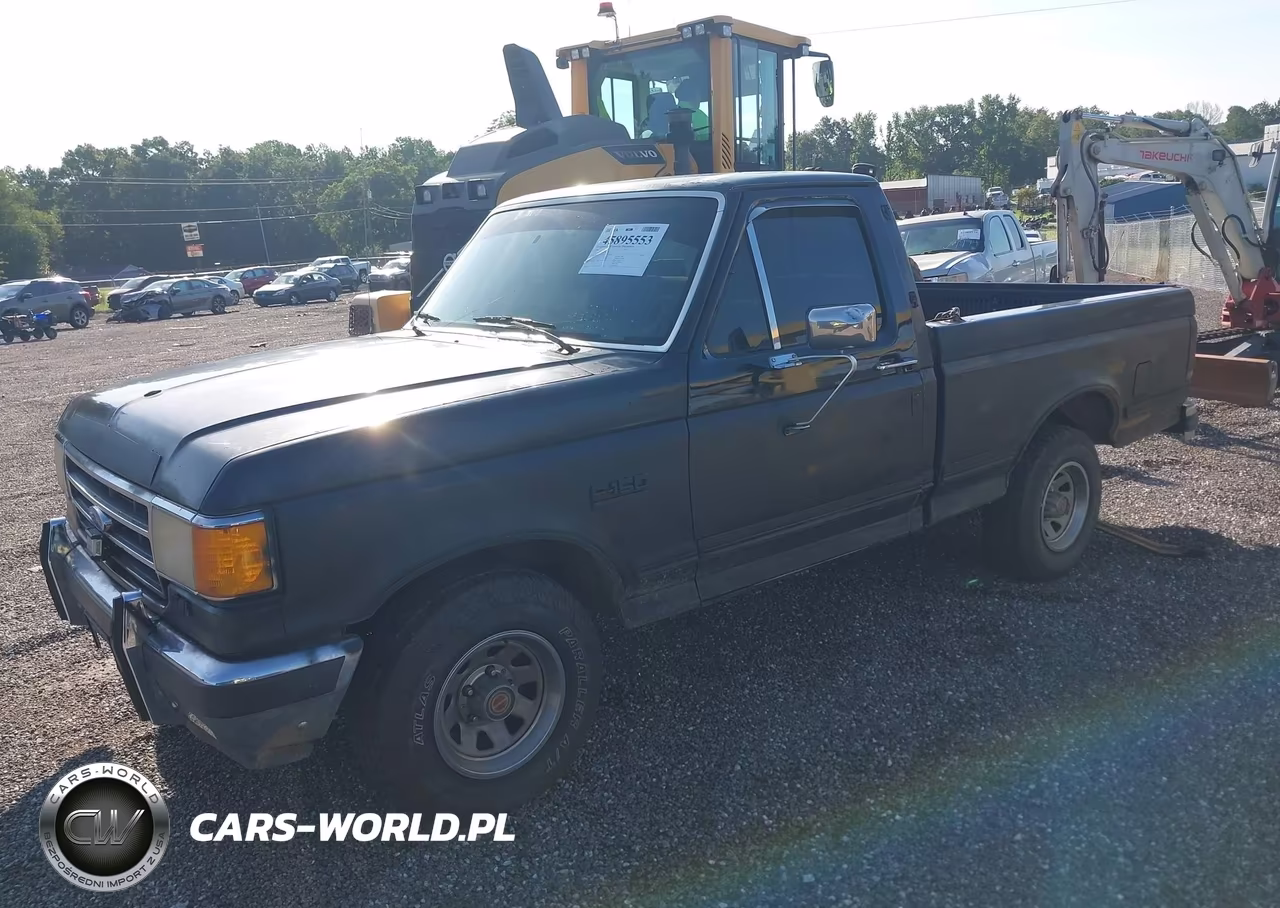 1990 Ford F150 VIN:1FTDF15N7LNA14981 - 2
