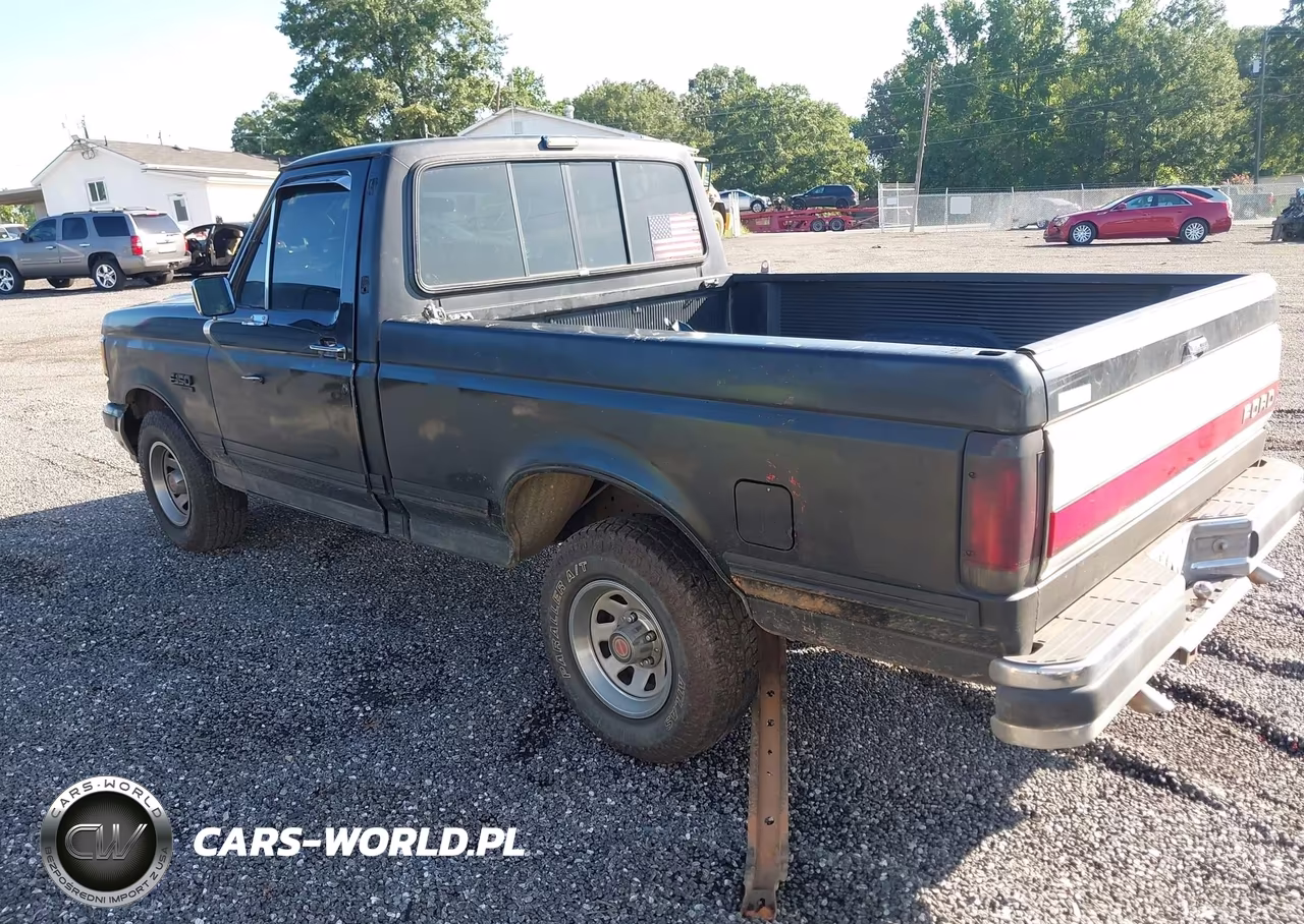 1990 Ford F150 VIN:1FTDF15N7LNA14981 - 3
