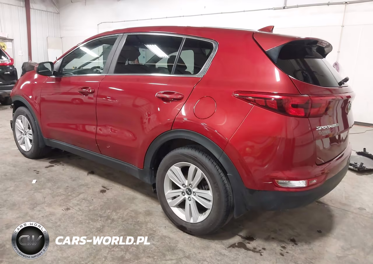 2019 Kia Sportage Lx VIN:KNDPM3AC3K7551532 - 3