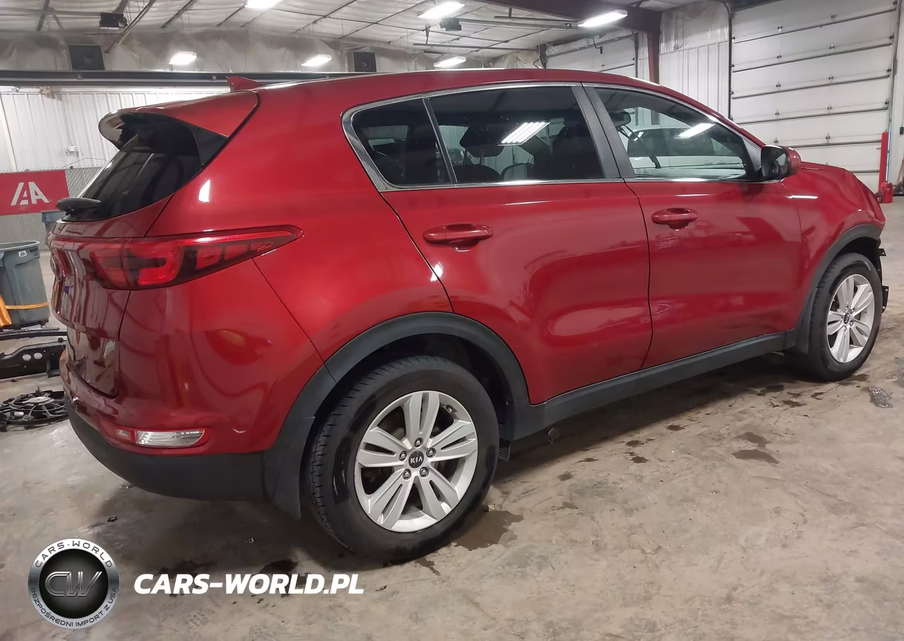 2019 Kia Sportage Lx VIN:KNDPM3AC3K7551532 - 4