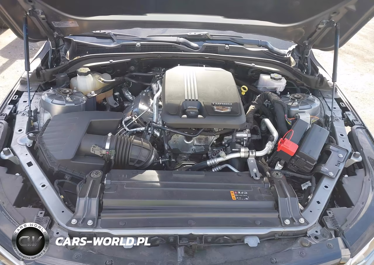 2022 Cadillac Ct4 Luxury VIN:1G6DJ5RK2N0115113 - 10