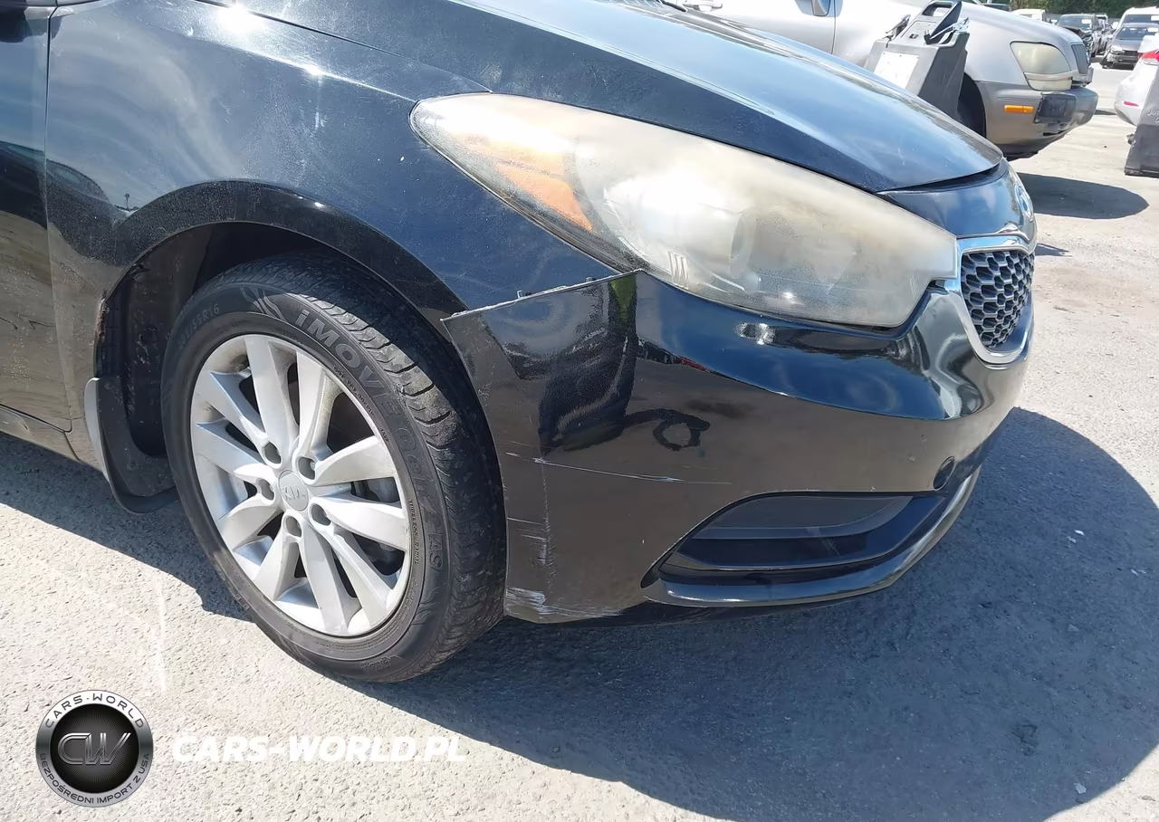 2016 Kia Forte Lx VIN:KNAFX4A66G5564441 - 12
