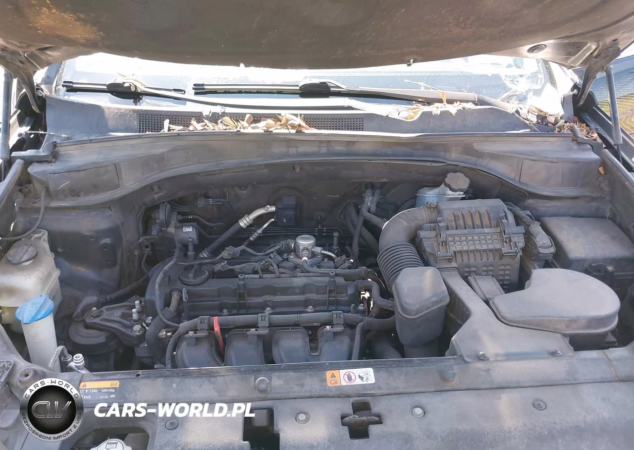 2013 Hyundai Santa Fe Sport VIN:5XYZUDLB4DG106886 - 10