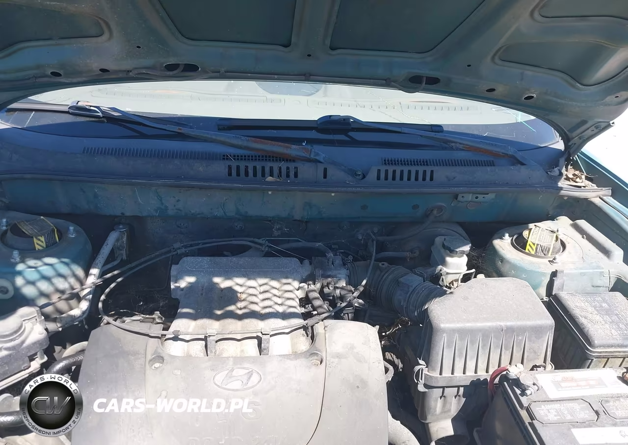 2001 Hyundai Santa Fe 2.7L V6 Gls-2.7L V6 Lx VIN:KM8SC83DX1U128538 - 10