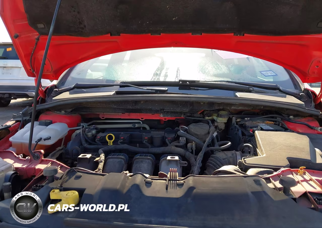 2013 Ford Focus Se VIN:1FADP3K20DL249809 - 10