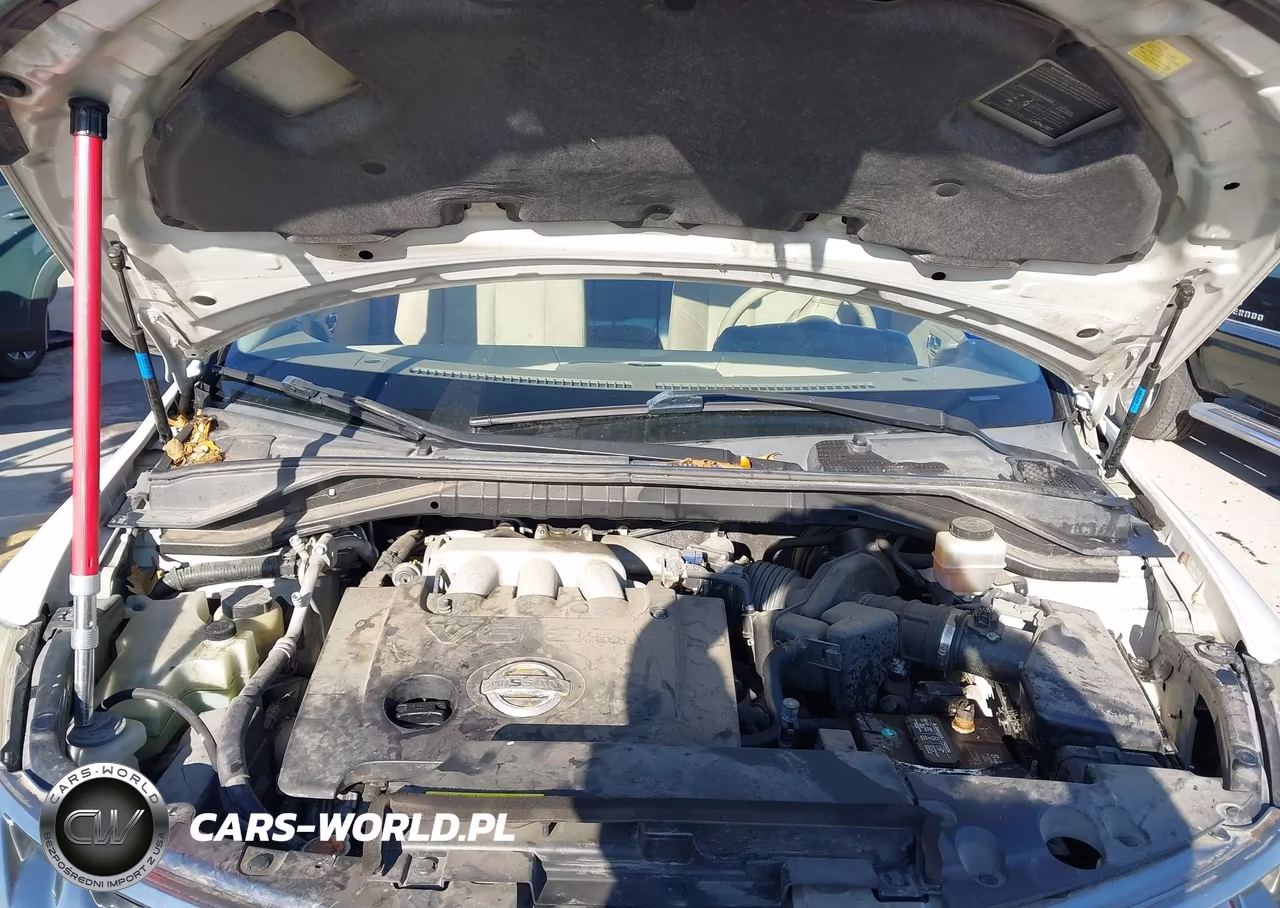 2007 Nissan Murano Sl VIN:JN8AZ08T37W516017 - 10