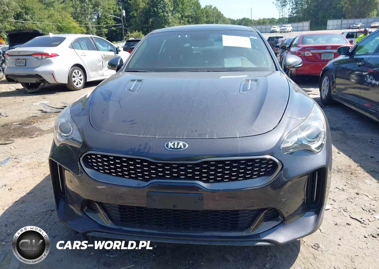 2020 Kia Stinger Gt-Line VIN:KNAE15LA3L6081269 - 12