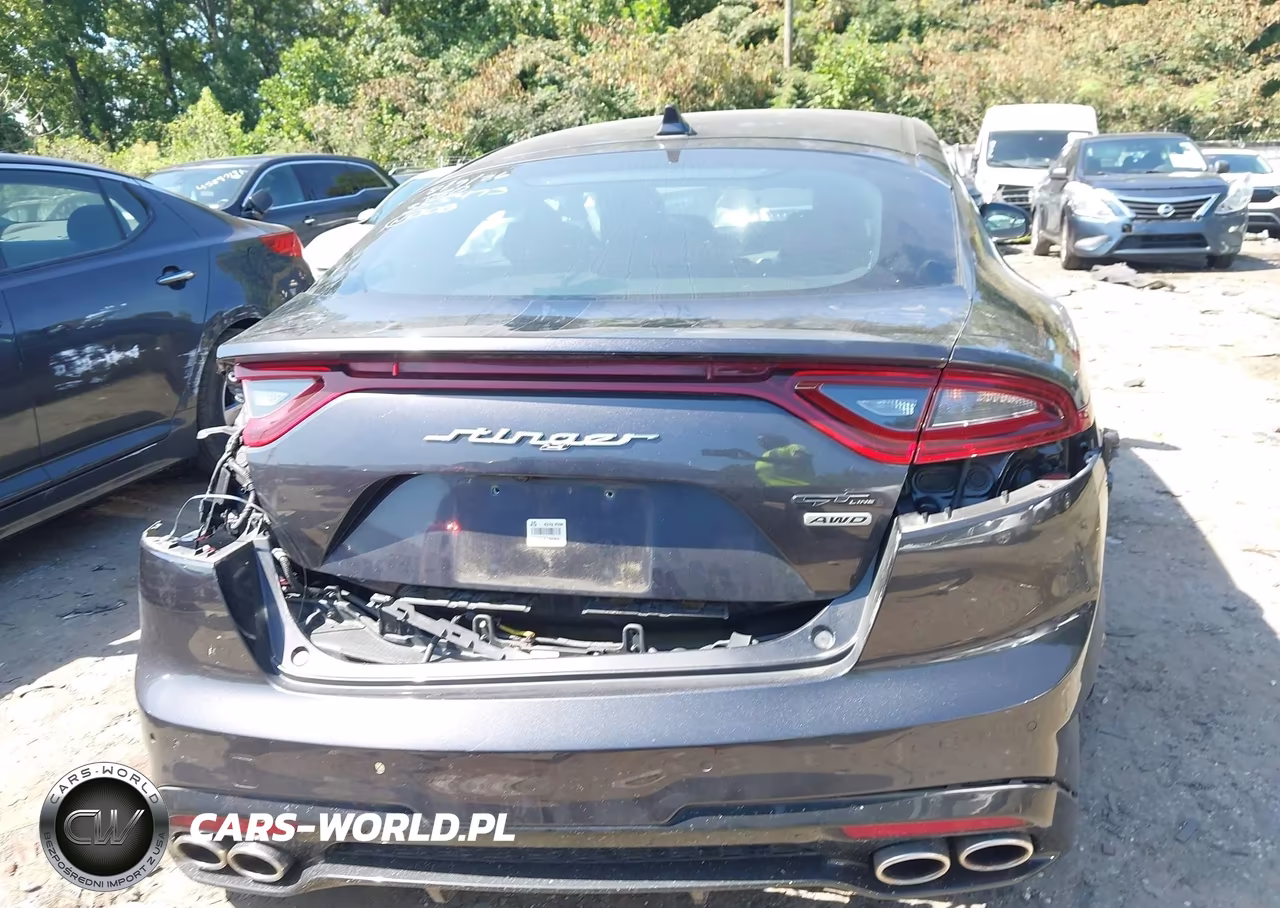 2020 Kia Stinger Gt-Line VIN:KNAE15LA3L6081269 - 16
