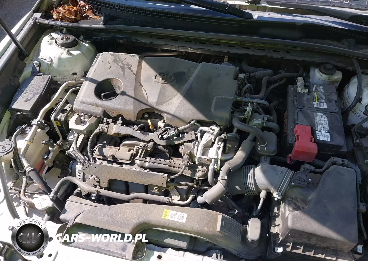 2019 Toyota Camry Xse VIN:4T1B61HK6KU201945 - 10