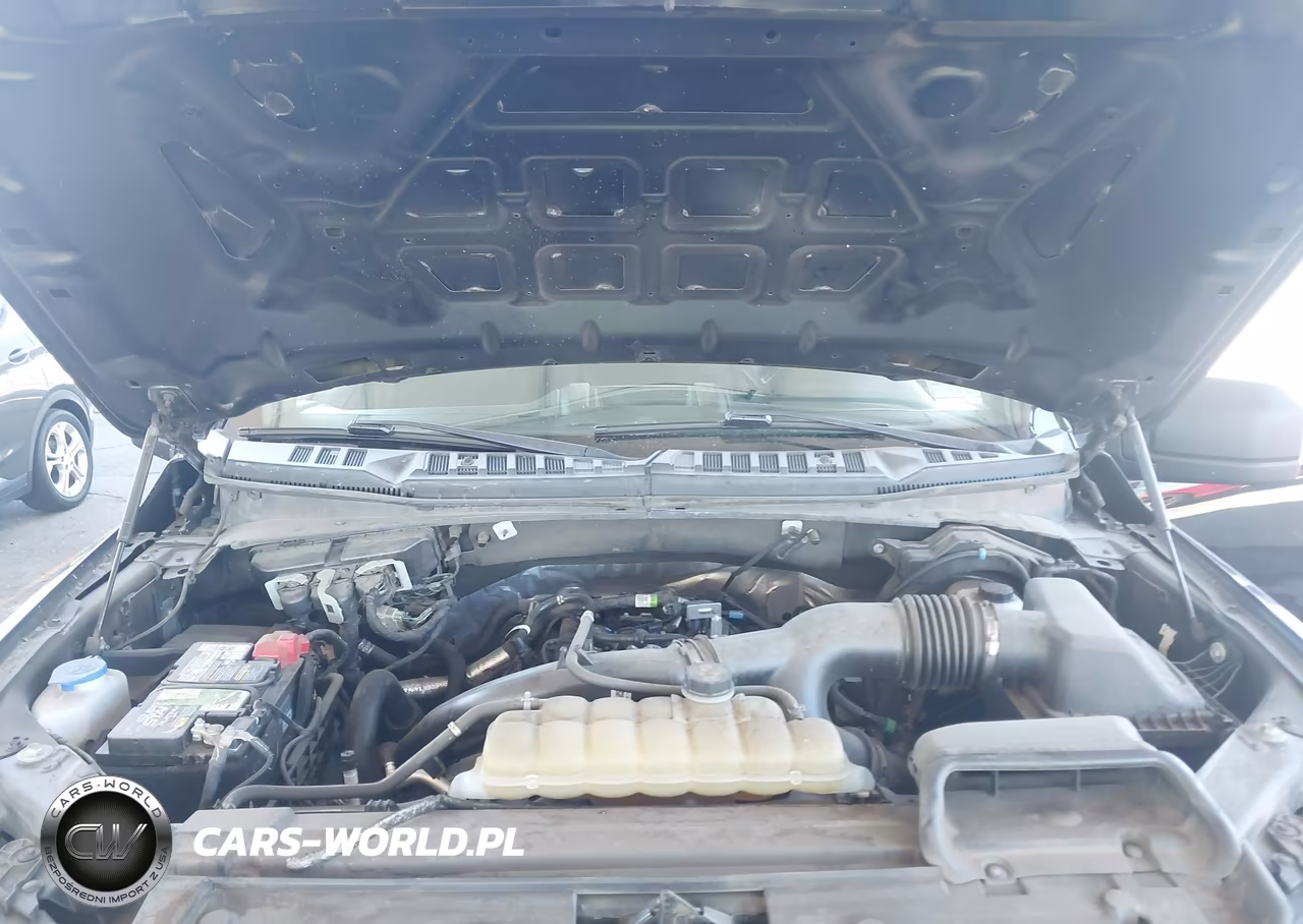 2020 Ford F-150 Xl VIN:1FTEW1EPXLKD18961 - 10