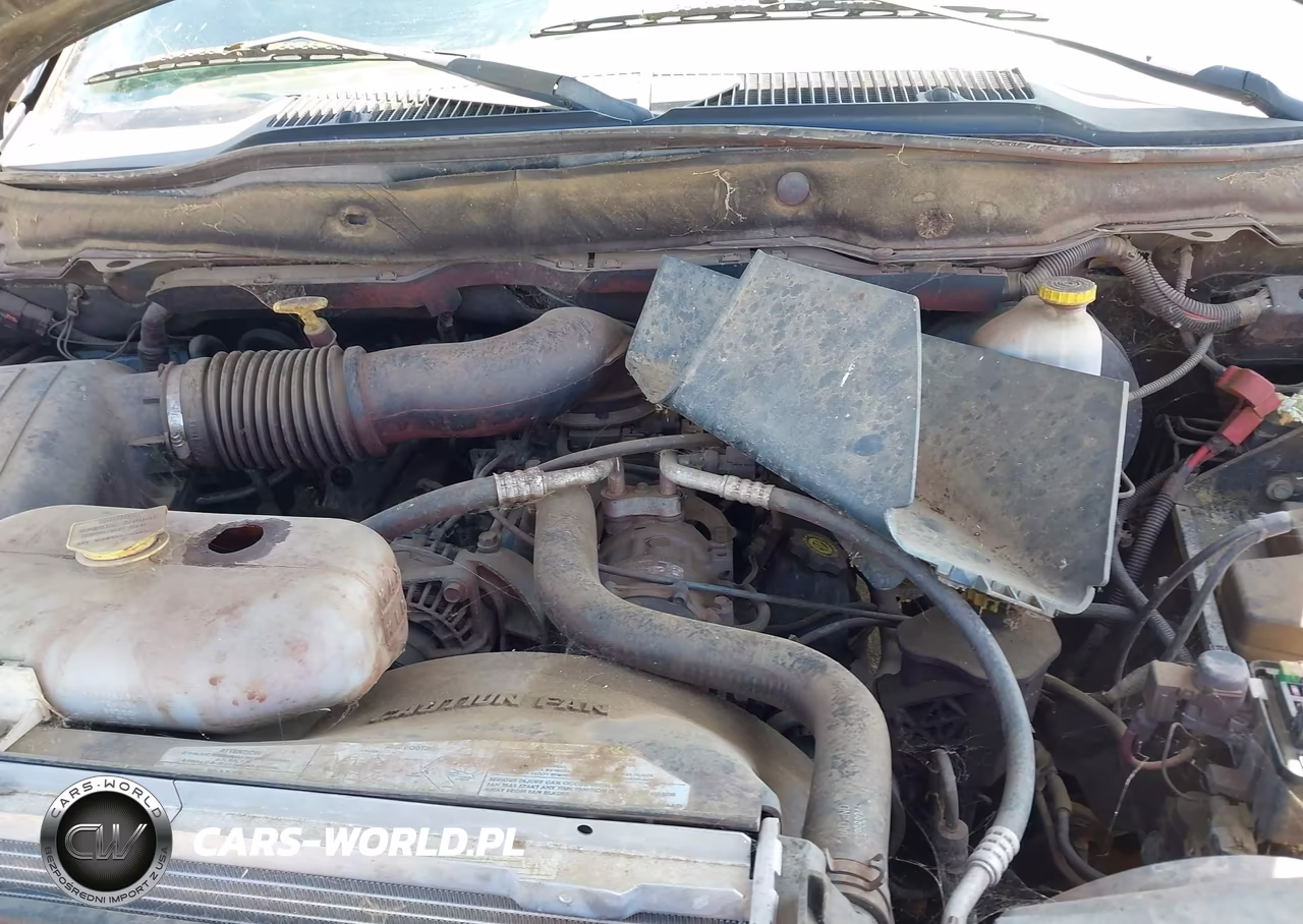 2002 Dodge Ram 1500 Slt-St VIN:1D7HA18Z92J260697 - 10